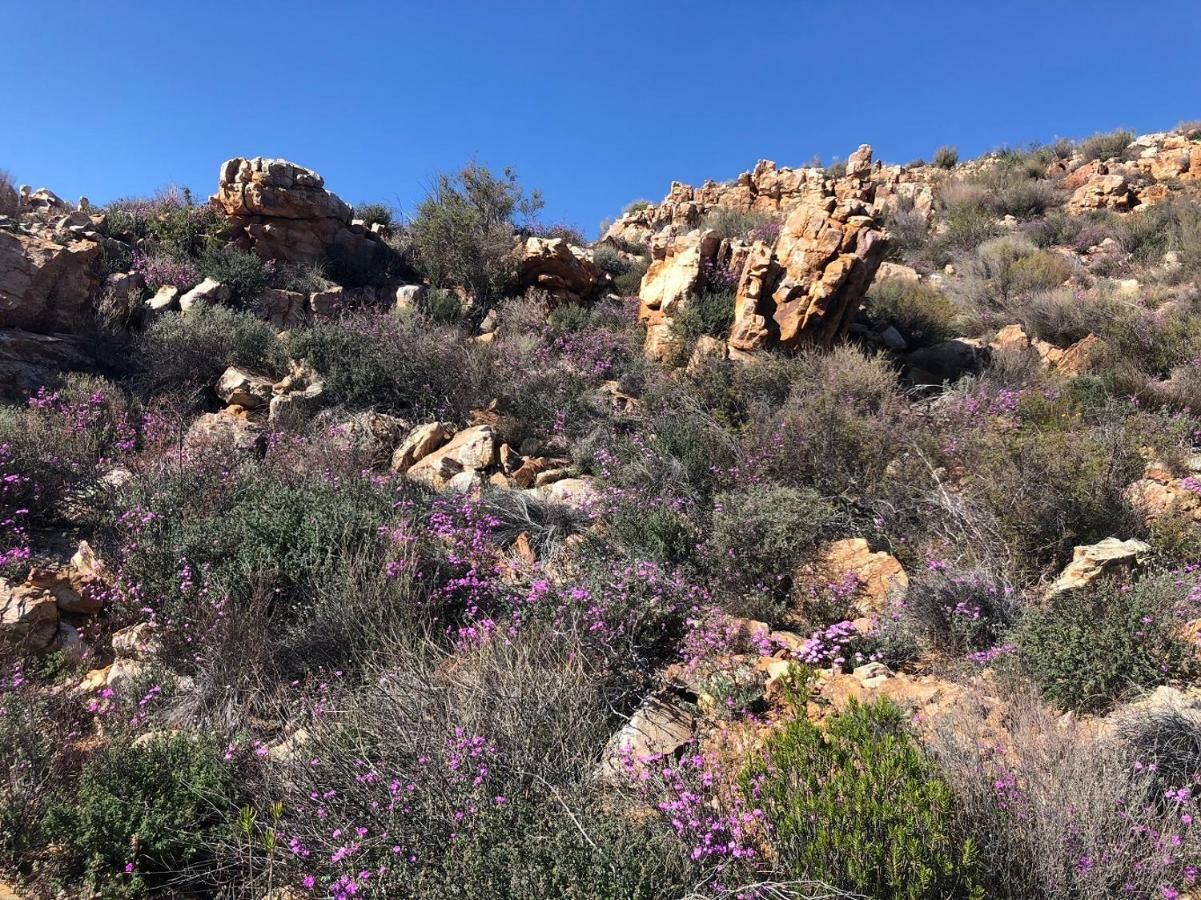 Tierkloof Mountain Cottages Breede River Exteriér fotografie